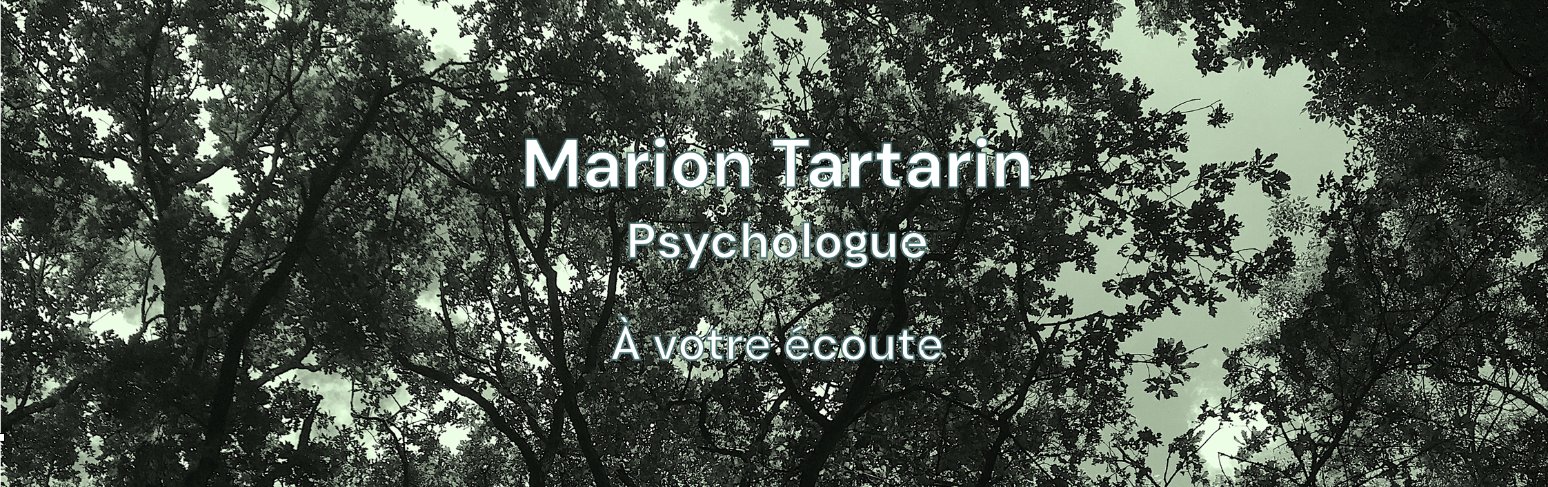 Marion Tartarin, psychologue à Redon. Accompagnement dans la maladie et dans le deuil. 